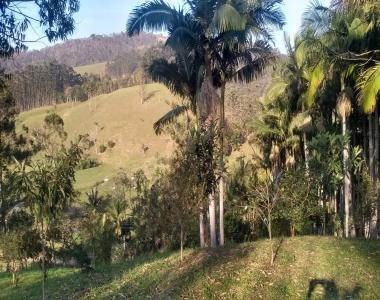 Lindo sítio em área rural de Camboriú no Braço, escriturado com 31.990,00 M² .