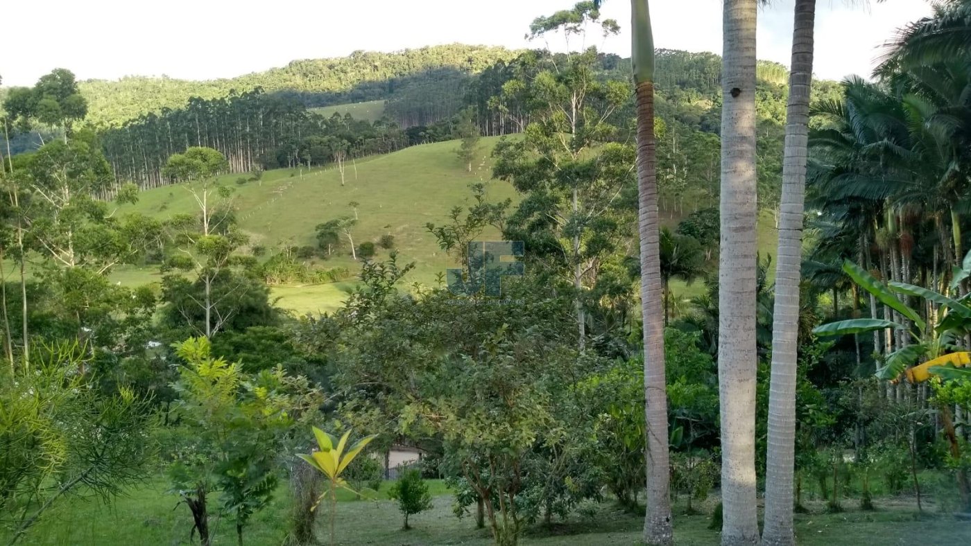 Lindo sítio em área rural de Camboriú no Braço, escriturado com 31.990,00 M² .