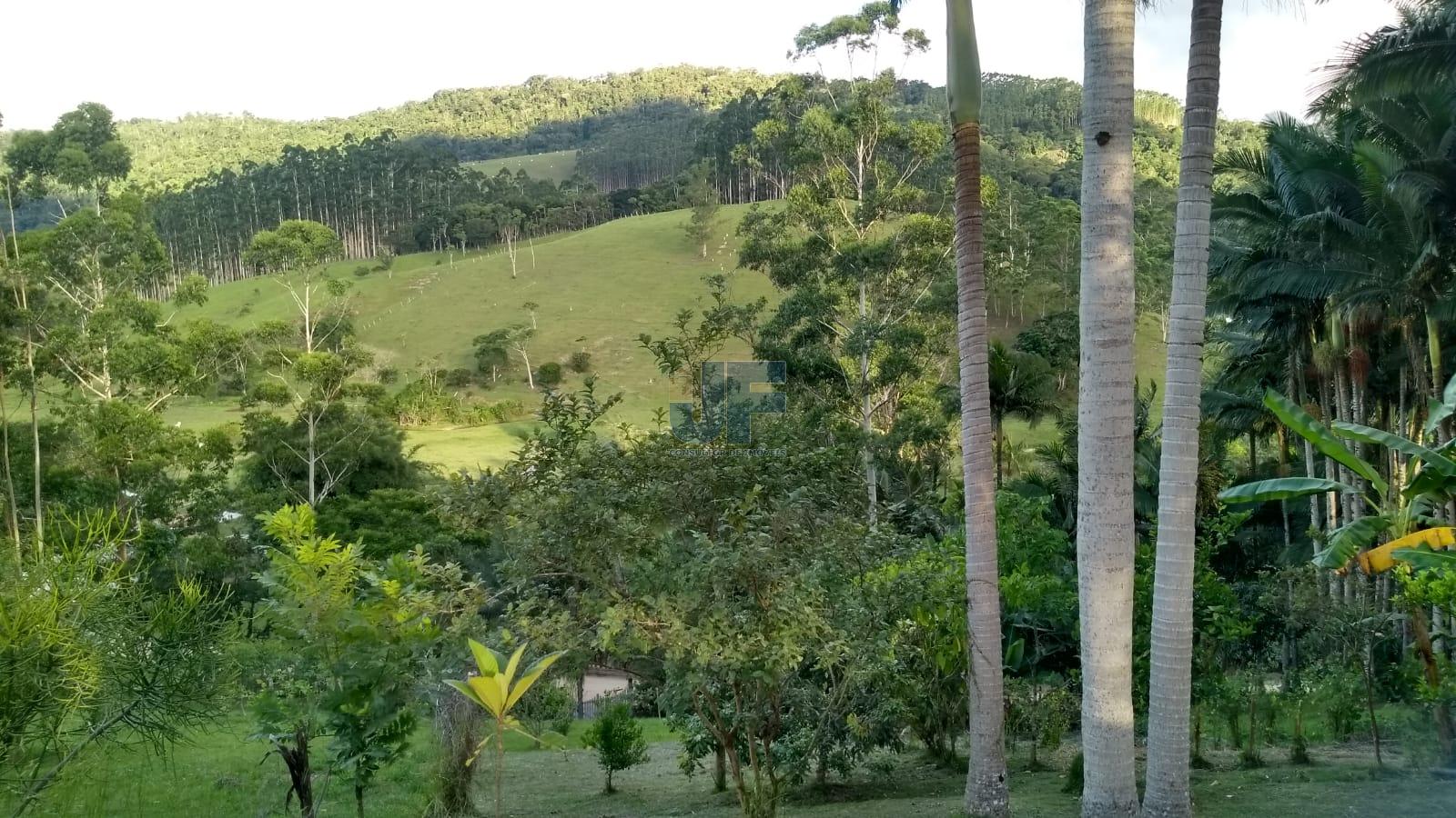 Sítio, 6 quartos, 3 hectares - Foto 22