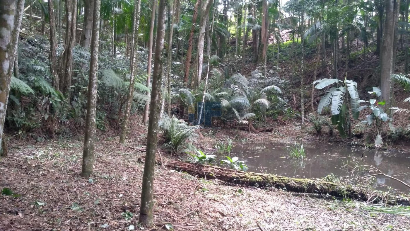 Lindo sítio em área rural de Camboriú no Braço, escriturado com 31.990,00 M² .