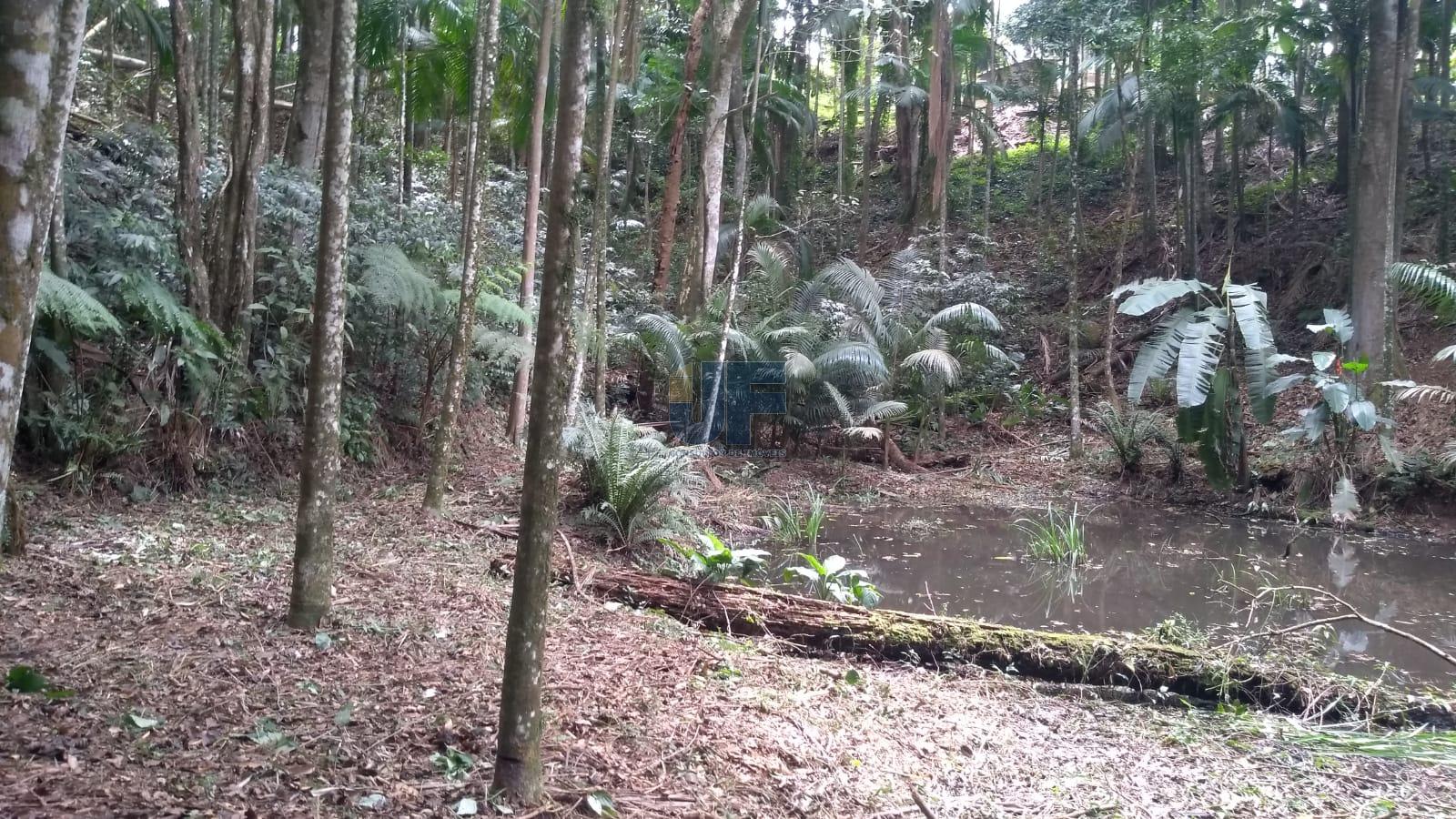 Sítio, 6 quartos, 3 hectares - Foto 6