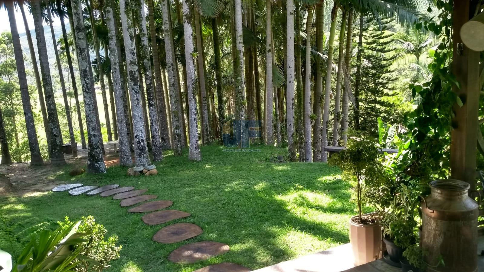 Sítio, 6 quartos, 3 hectares - Foto 7