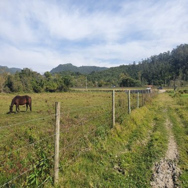 Linda área com 43 hectares frente BR101 em Tijucas/SC