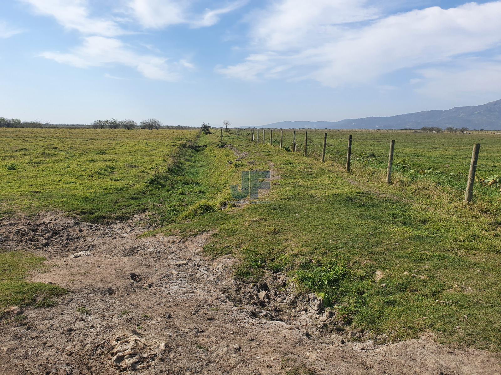 Terreno à venda, 430000m² - Foto 3