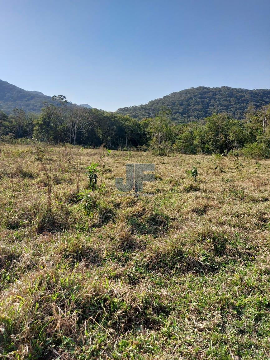 Sítio, 9 hectares - Foto 12