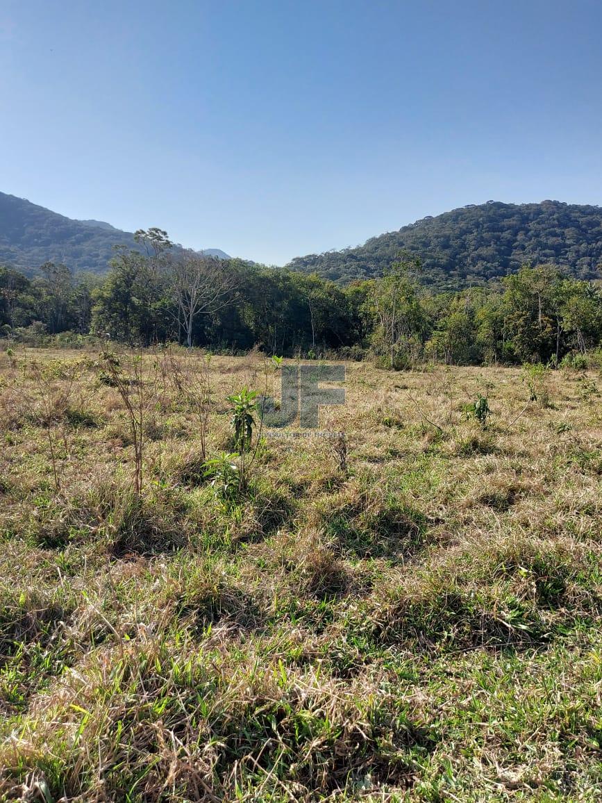 Sítio, 9 hectares - Foto 15