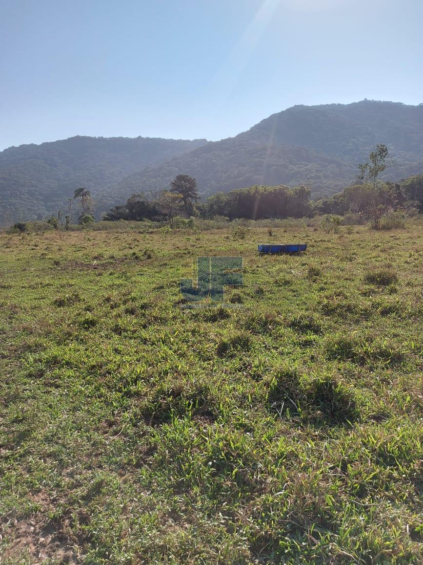 Sítio, 9 hectares - Foto 16