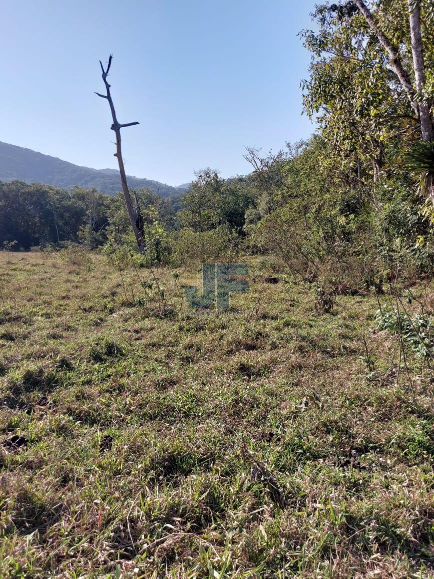 Sítio, 9 hectares - Foto 17