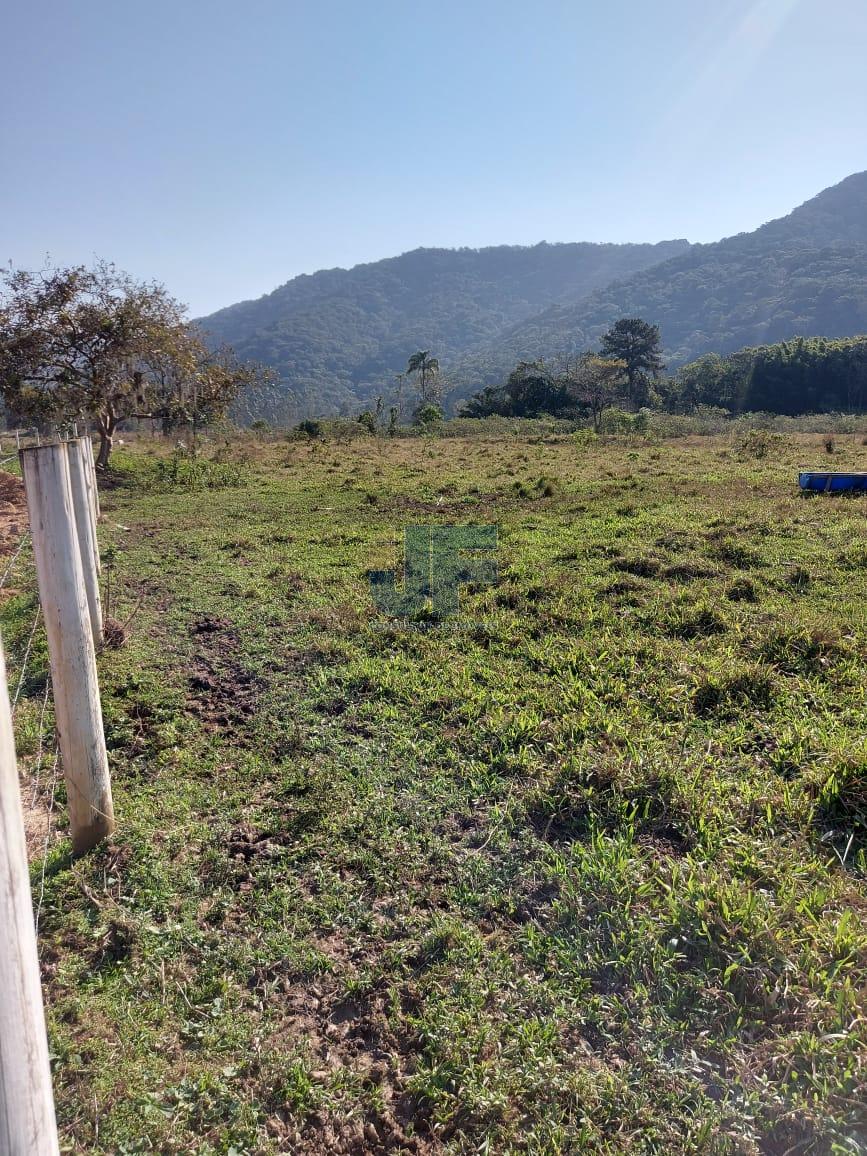 Sítio, 9 hectares - Foto 18