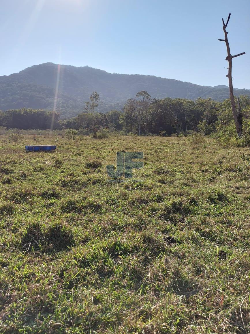 Sítio, 9 hectares - Foto 19