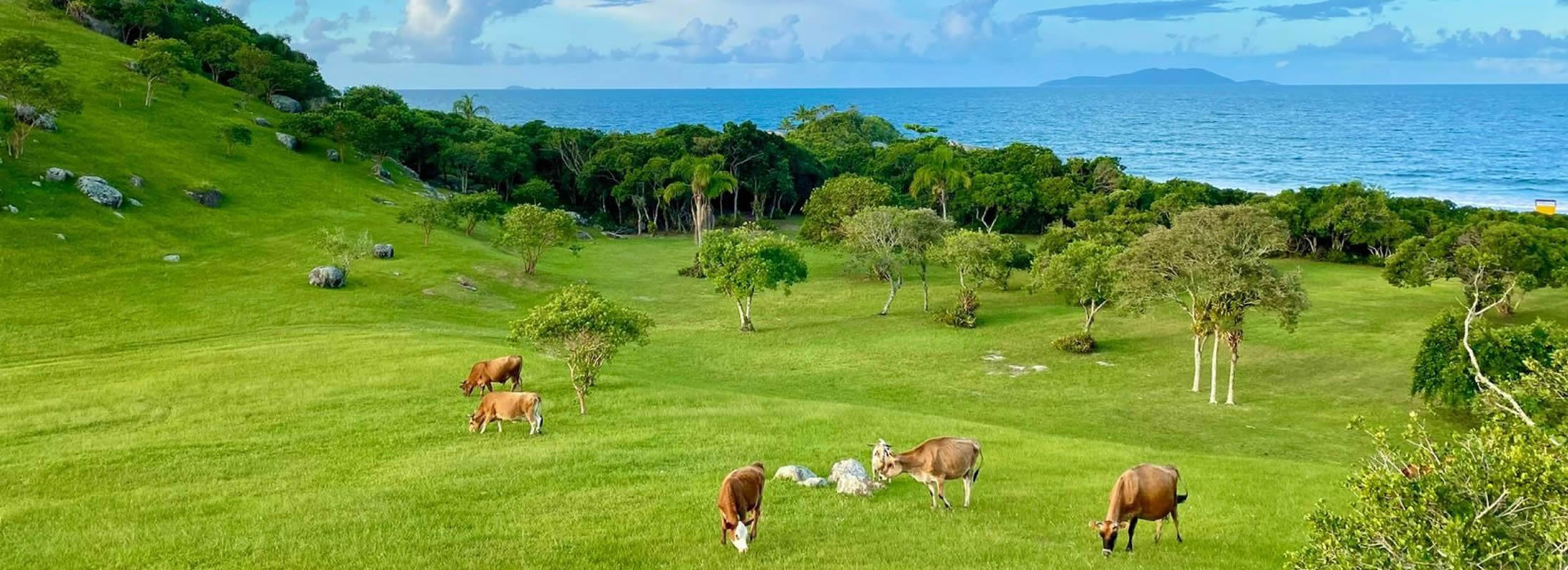 Confira oportunidades incríveis em áreas rurais!