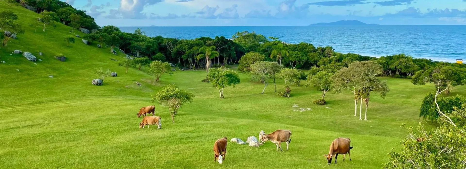 Confira oportunidades incríveis em áreas rurais!